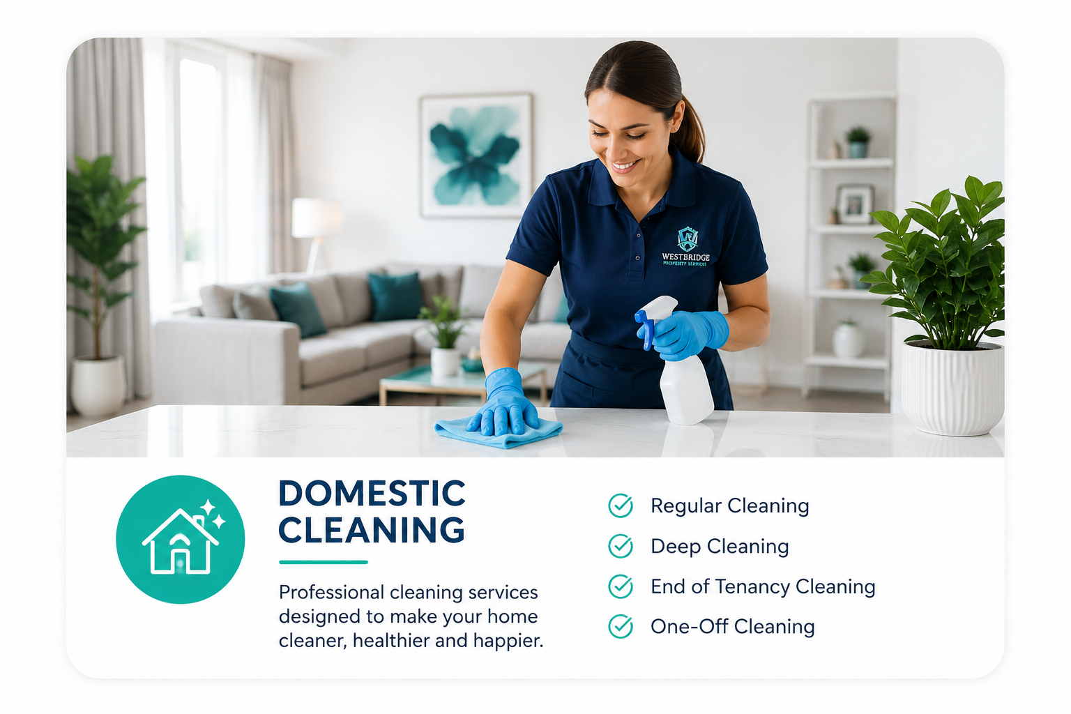 domestic cleaning services
